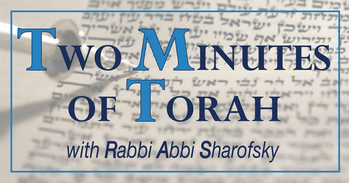 Parashat Tzav- Shabbat HaGadol | Jewish Community Relations Council of ...